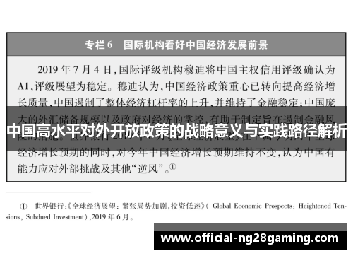 中国高水平对外开放政策的战略意义与实践路径解析