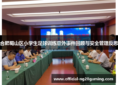 合肥蜀山区小学生足球训练意外事件回顾与安全管理反思