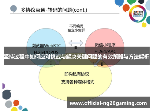 坚持过程中如何应对挑战与解决关键问题的有效策略与方法解析