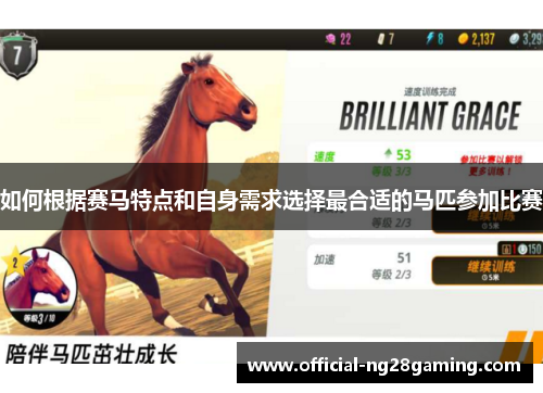 如何根据赛马特点和自身需求选择最合适的马匹参加比赛