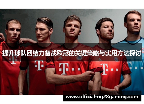 提升球队团结力备战欧冠的关键策略与实用方法探讨