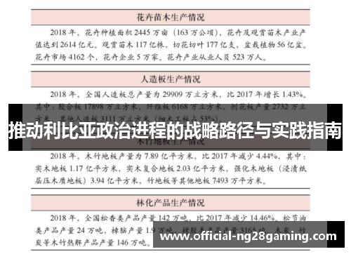 推动利比亚政治进程的战略路径与实践指南