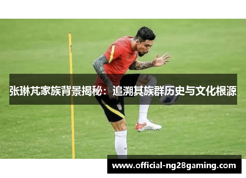 张琳芃家族背景揭秘：追溯其族群历史与文化根源