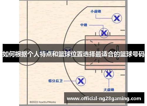 如何根据个人特点和篮球位置选择最适合的篮球号码