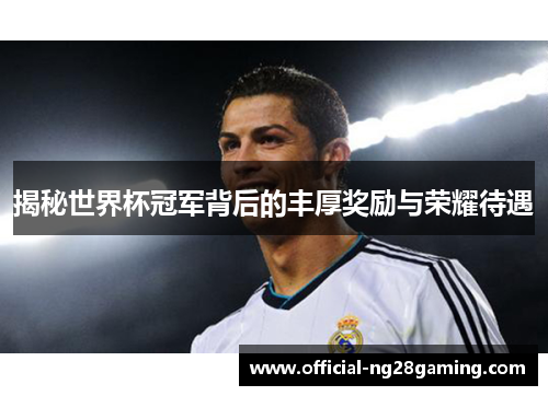 揭秘世界杯冠军背后的丰厚奖励与荣耀待遇