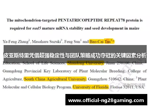 皮亚斯特里凭借超强稳定性与团队策略成功夺冠的关键因素分析