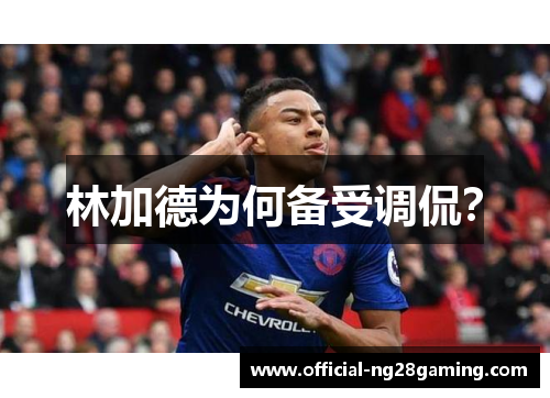 林加德为何备受调侃？