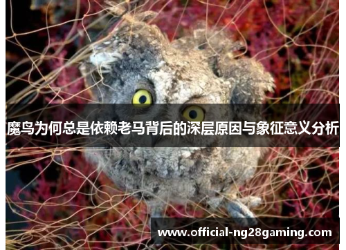 魔鸟为何总是依赖老马背后的深层原因与象征意义分析